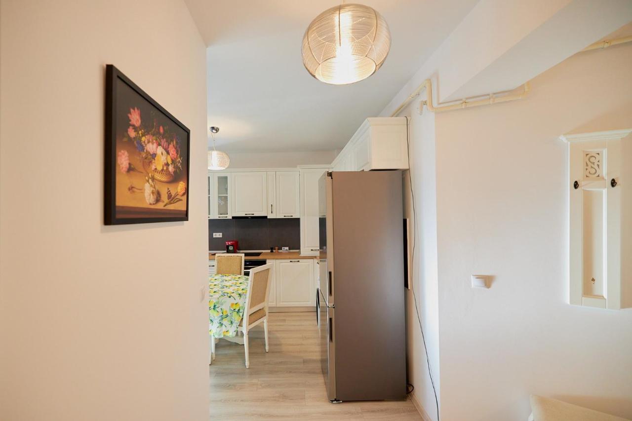 Alessandro Home 2 Luxury Centru Palas Mall Iasi Moldovei 30 מראה חיצוני תמונה