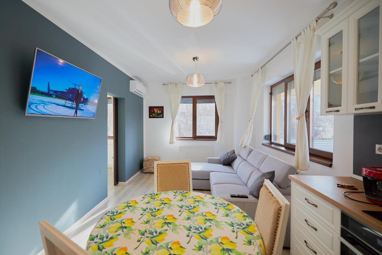 Alessandro Home 2 Luxury Centru Palas Mall Iasi Moldovei 30 מראה חיצוני תמונה